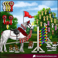 Horse Color:Gray Silver Black Sabino Appaloosa Rabicano