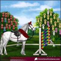 Horse Color:Gray Silver Black Sabino Appaloosa Rabicano