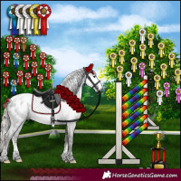 Horse Color:Gray Silver Black Sabino Appaloosa Rabicano 