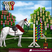 Horse Color:Gray Silver Black Sabino Blanket Rabicano 
