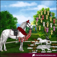 Horse Color:Gray Silver Black Sabino Appaloosa Rabicano 