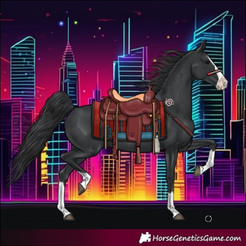 Horse Color:Black Splash 