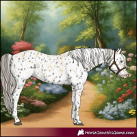 Horse Color:Palomino Leopard and Smoky Black Leopard