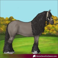 Horse Color:Smoky Grullo 