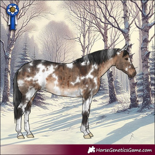Horse Color:White Spotted Brown Dun Brindle 
