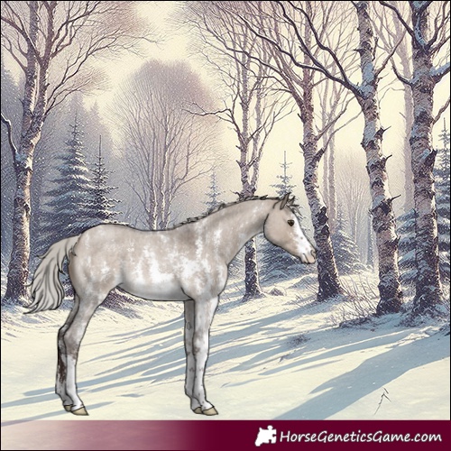 Horse Color:Silver Brown Roan Dun Sabino 