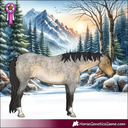 Horse Color:Buckskin Roan 