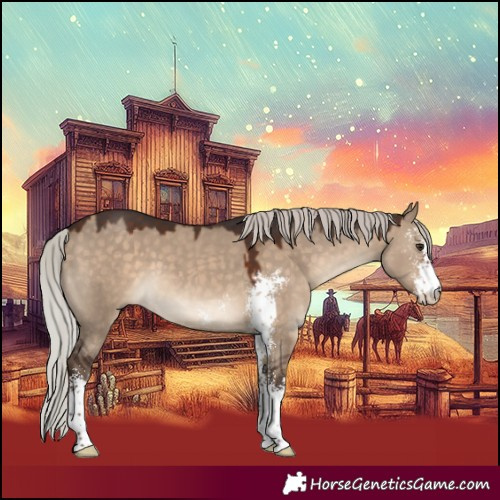 Horse Color:Silver Brown Dun Sabino 