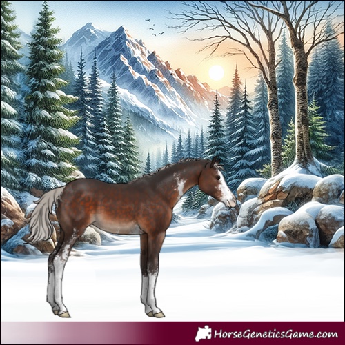 Horse Color:Silver Brown Sabino 