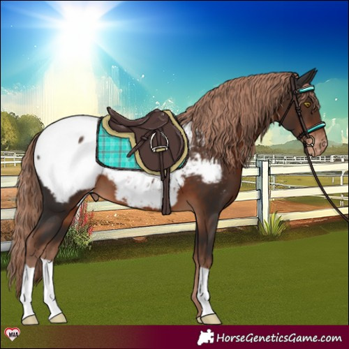 Horse Color:Liver Chestnut Snowcap 
