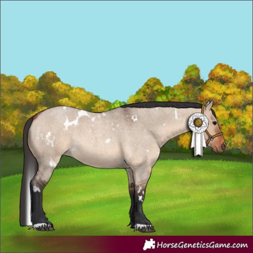 Horse Color:White Spotted Brown Roan Dun 