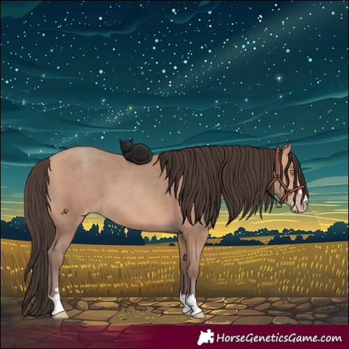 Horse Color:Amber Champagne 
