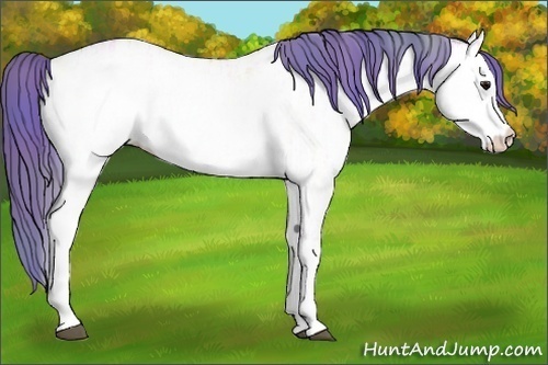 Horse Color:Nacre Watercolor White Spotted Bay Ice 