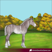 Horse Color:Chocolate Silver Brown Chinchilla Ice Sabino Rabicano 