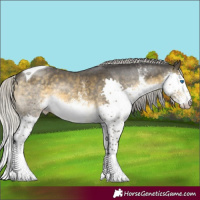 Horse Color:White Spotted Silver Buckskin Mushroom Splash Tobiano 