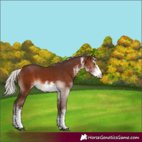 Horse Color:White Spotted Silver Bay Mushroom