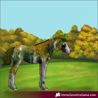 Horse Color:ERROR: UNKNOWN ANOMALY