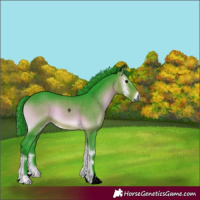 Horse Color:Gray Void Watercolor Bay Onyx Tobiano 