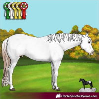Horse Color:Bay Near Fewspot 