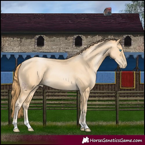 Horse Color:Buckskin Pearl 