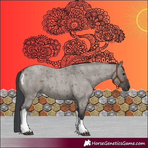 Horse Color:Unknown 