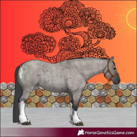 Horse Color:Unknown 