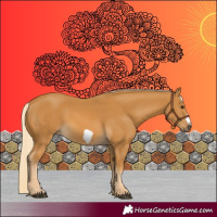 Horse Color:Palomino Frame 
