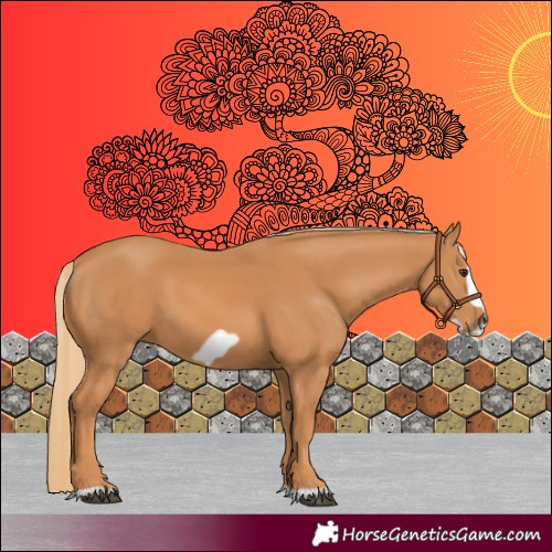 Horse Color:Chestnut Frame 