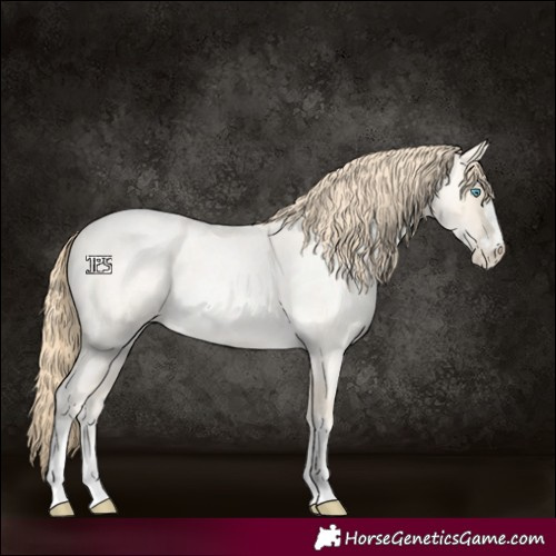Horse Color:Buckskin Roan Pearl and Buckskin Roan Pearl
