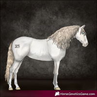 Horse Color:Buckskin Roan Pearl and Buckskin Roan Pearl