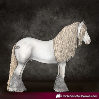 Horse Color:Buckskin Roan Pearl Frame  and Buckskin Roan Pearl Frame 