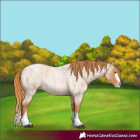 Horse Color:Red Roan Splash 