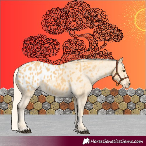 Horse Color:Palomino Blanket 