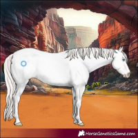 Horse Color:Perlino Roan 
