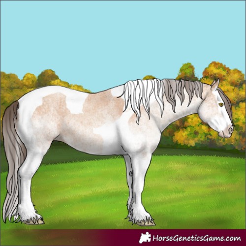 Horse Color:White Spotted Amber Champagne Splash Tobiano