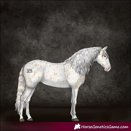 Horse Color:Palomino Leopard  and Palomino Near Leopard 