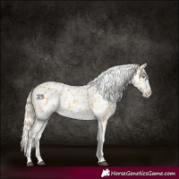 Horse Color:Palomino Leopard  and Palomino Near Leopard 