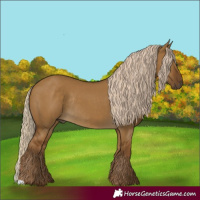 Horse Color:Chocolate Palomino Dun Rabicano 