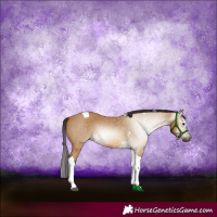 Horse Color:Gray Buckskin Tobiano 