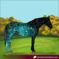 Horse Color:ERROR: UNKNOWN ANOMALY