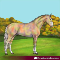 Horse Color:Nacre Palomino 