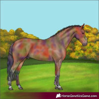 Horse Color:Nacre Bay 