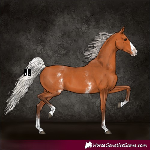 Horse Color:White Spotted Silver Bay Splash 