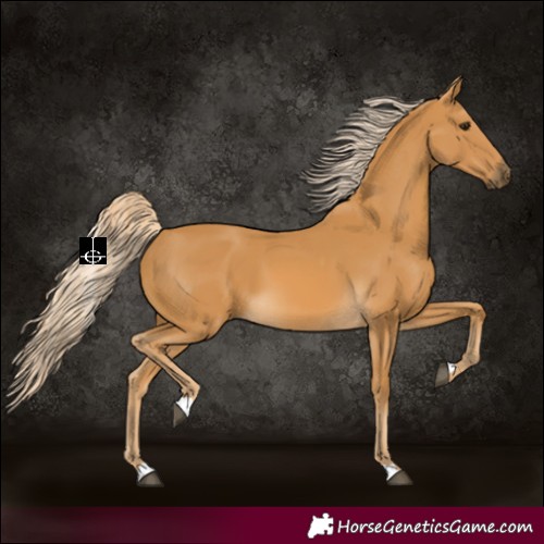 Horse Color:Palomino 