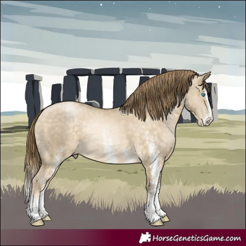 Horse Color:White Spotted Buckskin Pearl Dun Splash Rabicano 