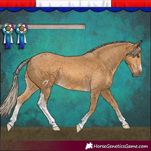 Horse Color:Palomino Sabino 