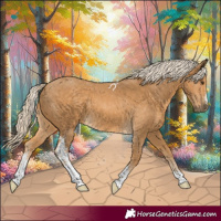 Horse Color:Palomino Sabino 