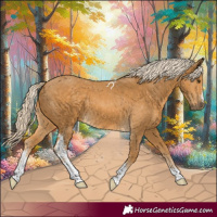 Horse Color:Palomino Sabino