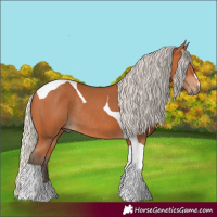 Horse Color:Silver Bay Tobiano Rabicano 