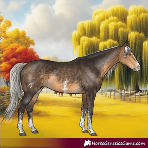 Horse Color:White Spotted Silver Buckskin 